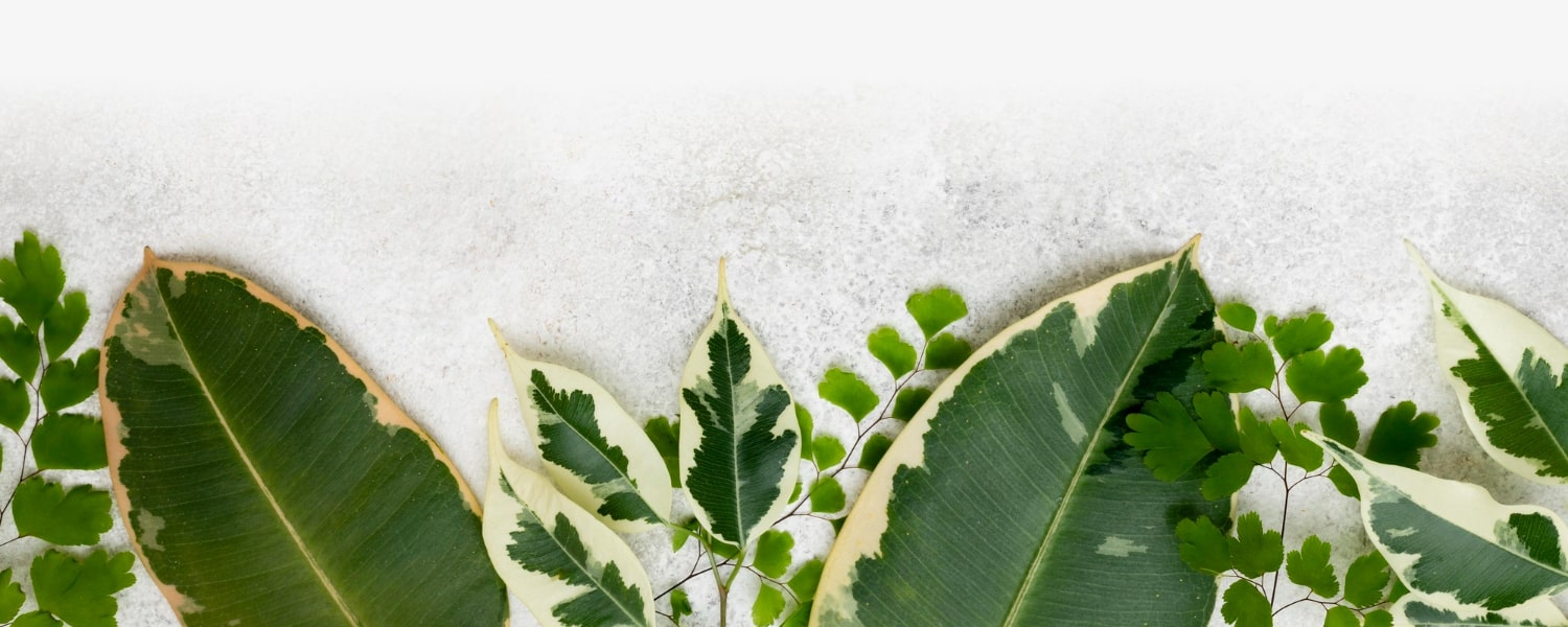 Hírlevél felirakozás 